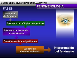 Constitución de los significados
Búsqueda de la esencia
y la estructura
MÉTODOS DE INVESTIGACIÓN CUALITATIVA
FENOMENOLOGÍA
Búsqueda de múltiples perspectivas
FASES
Descripción
del fenómeno
Interpretación
del fenómeno
Suspensión
de enjuiciamientos
 
