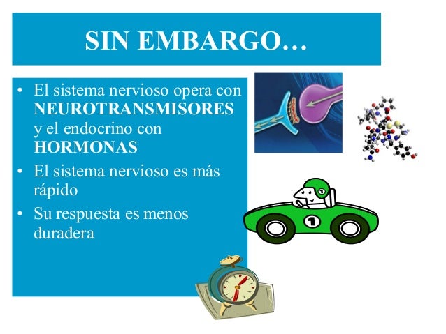 Sesión 21,22 Sesión 21,22