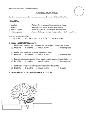 Institución Educativa “Los Precursores”

                                   DEMUESTRO LO QUE APRENDÍ

Nombre: …………………………Fecha: ………………………..Profesora: Patricia Vilca Díaz

I RELACIONA

1. Encéfalo                 a. Su función es conducir los impulsos nerviosos
2. Cerebro                  b. Permite estornudar, respirar y los latidos.
3. Médula Espinal           c. Almacena, procesa y transmite la información
4. Bulbo raquídeo           d. Consta de tres partes: cerebro, cerebelo y bulbo raquídeo.

Marca la alternativa correcta
a) 1a-2b-3c-4d        b)1c-2d-3a-4b c) 1d-2c-3a- 4b       d)1d-2c-3b-4a

II MARCA LA RESPUESTA CORRECTA
    1. Es una masa nerviosa que consta de tres partes y está dentro del cerebro.
    a) Encéfalo     b) cerebro    c) Médula espinal             d) Bulbo raquídeo

   2. Es el órgano más importante del sistema nervioso.
   a) Encéfalo      b) cerebro   c) Médula espinal              d) Bulbo raquídeo

   3. Cuando estornudo o vomito el que regula estas respuestas involuntarias es el :
   a) Encéfalo     b) cerebro   c) Médula espinal            d) Bulbo raquídeo

   4. Controla la coordinación muscular y el equilibrio del cuerpo.
   a) Encéfalo      b) cerebro    c) Médula espinal              d) Cerebelo

III ESCRIBE LAS PARTES DEL SISTEMA NERVIOSO CENTRAL
 