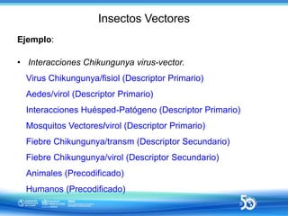 Insectos Vectores
Ejemplo:
• Interacciones Chikungunya virus-vector.
Virus Chikungunya/fisiol (Descriptor Primario)
Aedes/...