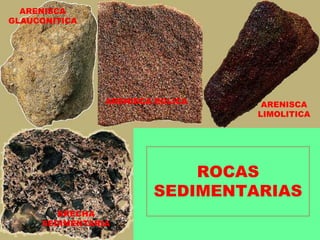 ROCAS
SEDIMENTARIAS
ARENISCA EOLICA ARENISCA
LIMOLITICA
ARENISCA
GLAUCONITICA
BRECHA
SEDIMENTARIA
 