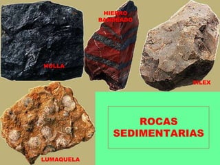 ROCAS
SEDIMENTARIAS
SILEX
HIERRO
BANDEADO
HULLA
LUMAQUELA
 