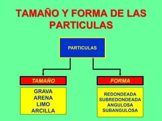 TAMAÑO Y FORMA DE LAS
PARTICULAS
PARTICULAS
TAMAÑO FORMA
GRAVA
ARENA
LIMO
ARCILLA
REDONDEADA
SUBREDONDEADA
ANGULOSA
SUBANGULOSA
 
