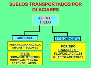 SUELOS TRANSPORTADOS POR
GLACIARES
AGENTE
HIELO
MATERIAL TIPO DEPOSITO
ARENAS, LIMO, ARCILLA,
GRAVAS Y BOLONES POR TIPO
TRANSPORTE
FLUVIOGLACIALES
GLACIOLACUSTRES
TILLITA
FORMAS DE TERRENOS:
MORRENAS (TERMINAL,
DE FONDO, LATERAL
 