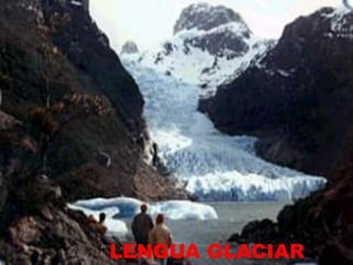 LENGUA GLACIAR
 