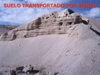 SUELO TRANSPORTADO POR VIENTO
 