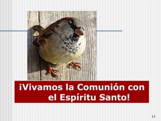 11¡Vivamos la Comunión con el Espíritu Santo!