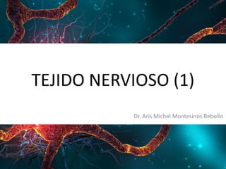 TEJIDO NERVIOSO (1)
Dr. Aris Michel Montesinos Rebollo
 