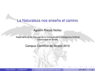 La Naturaleza nos ense˜na el camino
Agust´ın Riscos N´u˜nez
Departamento de Ciencias de la Computaci´on e Inteligencia Artiﬁcial
Universidad de Sevilla
Campus Cient´ıﬁco de Verano 2013
(Vida Artiﬁcial ... ¿Inteligente?) La Naturaleza nos ense˜na el camino CCV 2013 1 / 34
 