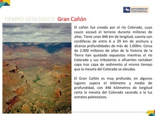TIEMPO GEOLOGICO Gran Cañón
El cañón fue creado por el río Colorado, cuyo
cauce socavó el terreno durante millones de
años. Tiene unos 446 km de longitud, cuenta con
cordilleras de entre 6 a 29 km de anchura y
alcanza profundidades de más de 1.600m. Cerca
de 2.000 millones de años de la historia de la
Tierra han quedado expuestos mientras el río
Colorado y sus tributarios o afluentes cortaban
capa tras capa de sedimento al mismo tiempo
que la meseta del Colorado se elevaba.
El Gran Cañón es muy profundo, en algunos
lugares supera el kilómetro y medio de
profundidad, con 446 kilómetros de longitud
corta la meseta del Colorado sacando a la luz
estratos paleozoicos.
 