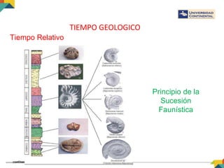 TIEMPO GEOLOGICO
Tiempo Relativo
Principio de la
Sucesión
Faunística
 