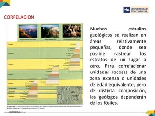 CORRELACION
Muchos estudios
geológicos se realizan en
áreas relativamente
pequeñas, donde sea
posible rastrear los
estratos de un lugar a
otro. Para correlacionar
unidades rocosas de una
zona extensa o unidades
de edad equivalente, pero
de distinta composición,
los geólogos dependerán
de los fósiles.
 