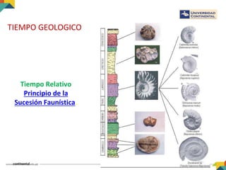 TIEMPO GEOLOGICO
Tiempo Relativo
Principio de la
Sucesión Faunística.
 