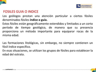 FOSILES GUIA O INDICE
Los geólogos prestan una atención particular a ciertos fósiles
denominados fósiles índice o guía.
Estos fósiles están geográficamente extendidos y limitados a un corto
período de tiempo geológico, de manera que su presencia
proporciona un método importante para equiparar rocas de la
misma edad.
Las formaciones litológicas, sin embargo, no siempre contienen un
fósil índice específico.
En esas situaciones, se utilizan los grupos de fósiles para establecer la
edad del estrato.
 