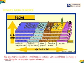 FOSILES GUIA O INDICE
.
Fig. .Una representación de estratificación en la que van enterrándose los fósiles y
microfósil guías de acuerdo al paso del tiempo .
 