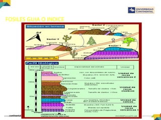 FOSILES GUIA O INDICE
 