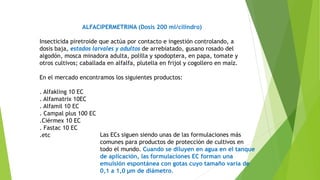 ALFACIPERMETRINA (Dosis 200 ml/cilindro)
Insecticida piretroide que actúa por contacto e ingestión controlando, a
dosis baja, estados larvales y adultos de arrebiatado, gusano rosado del
algodón, mosca minadora adulta, polilla y spodoptera, en papa, tomate y
otros cultivos; caballada en alfalfa, plutella en frijol y cogollero en maíz.
En el mercado encontramos los siguientes productos:
. Alfakling 10 EC
. Alfamatrix 10EC
. Alfamil 10 EC
. Campal plus 100 EC
.Ciérmex 10 EC
. Fastac 10 EC
.etc Las ECs siguen siendo unas de las formulaciones más
comunes para productos de protección de cultivos en
todo el mundo. Cuando se diluyen en agua en el tanque
de aplicación, las formulaciones EC forman una
emulsión espontánea con gotas cuyo tamaño varía de
0,1 a 1,0 μm de diámetro.
 