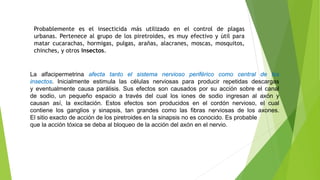 Probablemente es el insecticida más utilizado en el control de plagas
urbanas. Pertenece al grupo de los piretroides, es muy efectivo y útil para
matar cucarachas, hormigas, pulgas, arañas, alacranes, moscas, mosquitos,
chinches, y otros insectos.
La alfacipermetrina afecta tanto el sistema nervioso periférico como central de los
insectos. Inicialmente estimula las células nerviosas para producir repetidas descargas
y eventualmente causa parálisis. Sus efectos son causados por su acción sobre el canal
de sodio, un pequeño espacio a través del cual los iones de sodio ingresan al axón y
causan así, la excitación. Estos efectos son producidos en el cordón nervioso, el cual
contiene los ganglios y sinapsis, tan grandes como las fibras nerviosas de los axones.
El sitio exacto de acción de los piretroides en la sinapsis no es conocido. Es probable
que la acción tóxica se deba al bloqueo de la acción del axón en el nervio.
 