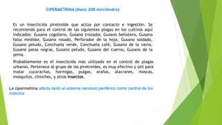 CIPERMETRINA (Dosis 200 ml/cilindro)
Es un insecticida piretroide que actúa por contacto e ingestión. Se
recomienda para el control de las siguientes plagas en los cultivos aquí
indicados: Gusano cogollero, Gusano trozador, Gusano bellotero, Gusano
falso medidor, Gusano rosado, Perforador de la hoja, Gusano soldado,
Gusano peludo, Conchuela verde, Conchuela café, Gusano de la vaina,
Gusano patas negras, Gusano peludo, Gusano del cuerno, Gusano de la
yema.
Probablemente es el insecticida más utilizado en el control de plagas
urbanas. Pertenece al grupo de los piretroides, es muy efectivo y útil para
matar cucarachas, hormigas, pulgas, arañas, alacranes, moscas,
mosquitos, chinches, y otros insectos.
La cipermetrina afecta tanto el sistema nervioso periférico como central de los
insectos
 