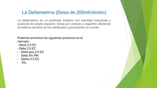 La Deltametrina (Dosis de 200ml/cilindro)
La deltametrina es un piretroide sintético con actividad insecticida y
acaricida de amplio espectro. Actúa por contacto e ingestión afectando
al sistema nervioso de los artrópodos y provocando su muerte.
Podemos encontrar los siguientes productos en el
mercado:
- Decis 2.5 EC
- Delta 2.5 EC
- Delta plus 2.5 EC
- Delta 5% PM
- Deltox 2.5 EC
- Etc.
 