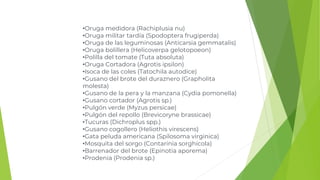 •Oruga medidora (Rachiplusia nu)
•Oruga militar tardía (Spodoptera frugiperda)
•Oruga de las leguminosas (Anticarsia gemmatalis)
•Oruga bolillera (Helicoverpa gelotopoeon)
•Polilla del tomate (Tuta absoluta)
•Oruga Cortadora (Agrotis ipsilon)
•Isoca de las coles (Tatochila autodice)
•Gusano del brote del duraznero (Grapholita
molesta)
•Gusano de la pera y la manzana (Cydia pomonella)
•Gusano cortador (Agrotis sp.)
•Pulgón verde (Myzus persicae)
•Pulgón del repollo (Brevicoryne brassicae)
•Tucuras (Dichroplus spp.)
•Gusano cogollero (Heliothis virescens)
•Gata peluda americana (Spilosoma virginica)
•Mosquita del sorgo (Contarinia sorghicola)
•Barrenador del brote (Epinotia aporema)
•Prodenia (Prodenia sp.)
 