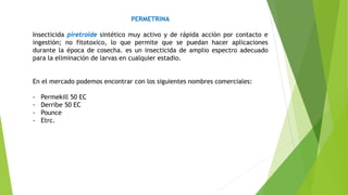 PERMETRINA
Insecticida piretroide sintético muy activo y de rápida acción por contacto e
ingestión; no fitotoxico, lo que permite que se puedan hacer aplicaciones
durante la época de cosecha. es un insecticida de amplio espectro adecuado
para la eliminación de larvas en cualquier estadio.
En el mercado podemos encontrar con los siguientes nombres comerciales:
- Permekill 50 EC
- Derribe 50 EC
- Pounce
- Etrc.
 