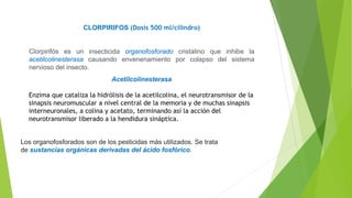CLORPIRIFOS (Dosis 500 ml/cilindro)
Clorpirifós es un insecticida organofosforado cristalino que inhibe la
acetilcolinesterasa causando envenenamiento por colapso del sistema
nervioso del insecto.
Acetilcolinesterasa
Enzima que cataliza la hidrólisis de la acetilcolina, el neurotransmisor de la
sinapsis neuromuscular a nivel central de la memoria y de muchas sinapsis
interneuronales, a colina y acetato, terminando así la acción del
neurotransmisor liberado a la hendidura sináptica.
Los organofosforados son de los pesticidas más utilizados. Se trata
de sustancias orgánicas derivadas del ácido fosfórico.
 