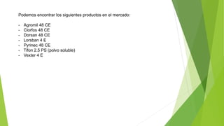 Podemos encontrar los siguientes productos en el mercado:
- Agromil 48 CE
- Clorfos 48 CE
- Dorsan 48 CE
- Lorsban 4 E
- Pyrinec 48 CE
- Tifon 2.5 PS (polvo soluble)
- Vexter 4 E
 