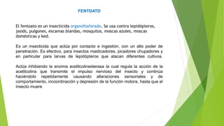 FENTOATO
El fentoato es un insecticida organofosforado. Se usa contra lepidópteros,
jasids, pulgones, escamas blandas, mosquitos, moscas azules, moscas
domésticas y ked.
Es un insecticida que actúa por contacto e ingestión, con un alto poder de
penetración. Es efectivo, para insectos masticadores, picadores chupadores y
en particular para larvas de lepidópteros que atacan diferentes cultivos.
Actúa inhibiendo la enzima acetilcolinesterasa la cual regula la acción de la
acetilcolina que transmite el impulso nervioso del insecto y continúa
haciéndolo repetidamente causando alteraciones sensoriales y de
comportamiento, incoordinación y depresión de la función motora, hasta que el
insecto muere
 