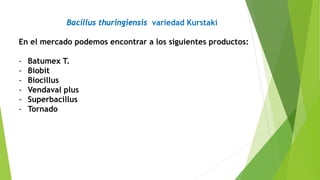 Bacillus thuringiensis variedad Kurstaki
En el mercado podemos encontrar a los siguientes productos:
- Batumex T.
- Biobit
- Biocillus
- Vendaval plus
- Superbacillus
- Tornado
 