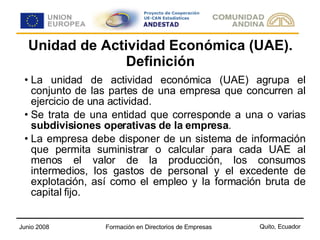 Unidad de Actividad Económica (UAE). Definición La unidad de actividad económica (UAE) agrupa el conjunto de las partes de una empresa que concurren al ejercicio de una actividad. Se trata de una entidad que corresponde a una o varias  subdivisiones operativas de la empresa . La empresa debe disponer de un sistema de información que permita suministrar o calcular para cada UAE al menos el valor de la producción, los consumos intermedios, los gastos de personal y el excedente de explotación, así como el empleo y la formación bruta de capital fijo. 