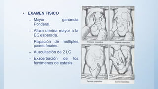 • EXAMEN FISICO
– Mayor ganancia
Ponderal.
– Altura uterina mayor a la
EG esperada.
– Palpación de múltiples
partes fetales.
– Auscultación de 2 LC
– Exacerbación de los
fenómenos de estasis
 