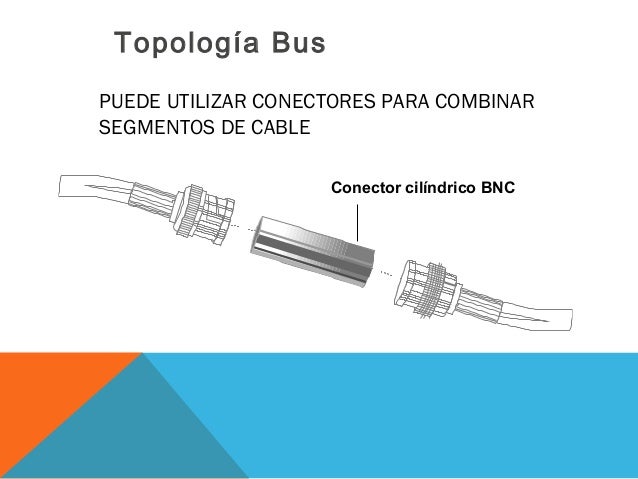 topologia del bus del conector bnc