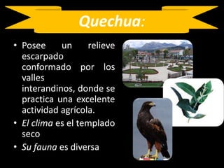 Quechua:Posee un relieve escarpado conformado por los valles interandinos, donde se practica una excelente actividad agrícola.El clima es el templado seco Su fauna es diversa 