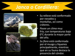 Janca o Cordillera:Su relieve está conformado por nevados y montañas, así como cráteres. Posee un clima muy frío, con temperaturas bajo 0°C durante la mayor parte del año. Su flora está conformada por el musgo y líquenes principalmente, mientras que en su fauna destaca la presencia del cóndor.