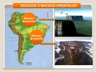 • ESCUDOS O MACIZOS ORIENTALES
Macizo
Brasileño
Macizo
Guayanes
 