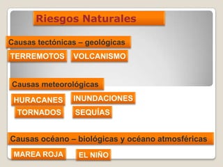Riesgos Naturales
Causas tectónicas – geológicas
Causas meteorológicas
HURACANES
TORNADOS
INUNDACIONES
SEQUÍAS
TERREMOTOS VOLCANISMO
Causas océano – biológicas y océano atmosféricas
MAREA ROJA EL NIÑO
 