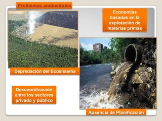 Problemas ambientales
Ausencia de Planificación
Depredación del Ecosistema
Economías
basadas en la
explotación de
materias primas
Descoordinación
entre los sectores
privado y público
 