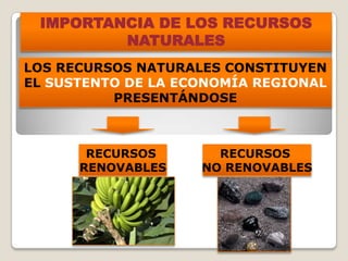 LOS RECURSOS NATURALES CONSTITUYEN
EL SUSTENTO DE LA ECONOMÍA REGIONAL
PRESENTÁNDOSE
IMPORTANCIA DE LOS RECURSOS
NATURALES
RECURSOS
NO RENOVABLES
RECURSOS
RENOVABLES
 