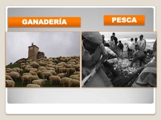 GANADERÍA PESCA
 