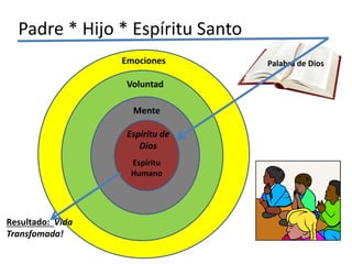 Palabra de Dios
Padre * Hijo * Espíritu Santo
Espíritu de
Dios
Espíritu
Humano
Mente
Voluntad
Emociones
Resultado: Vida
Transfomada!
 