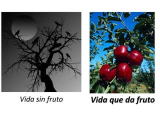 Vida sin fruto Vida que da fruto
 