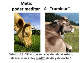 Meta:
poder meditar “ruminar”
Salmos 1:2 “Sino que en la ley de Jehová está su
delicia, y en su ley medita de día y de noche.”
ó
 