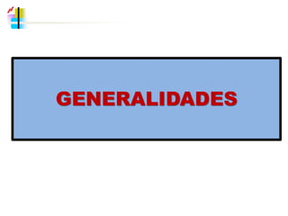 GENERALIDADES
 
