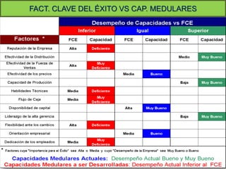FACT. CLAVE DEL ÉXITO VS CAP. MEDULARES




                                          81
 