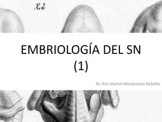 EMBRIOLOGÍA DEL SN
(1)
Dr. Aris Michel Montesinos Rebollo

 