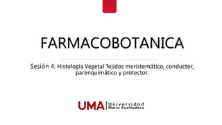 FARMACOBOTANICA
Sesión 4: Histología Vegetal Tejidos meristemático, conductor,
parenquimático y protector.
 