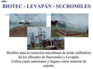 Biofiltro para la  remoción  microbiana de ácido sulfhídrico de los efluentes de Sucromiles y Levapán. Utiliza cepas autóctonas y bagazo como material de soporte. BIOTEC - LEVAPÁN - SUCROMILES 