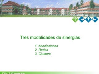 Tres modalidades de sinergias 1. Asociaciones 2. Redes 3. Clusters 
