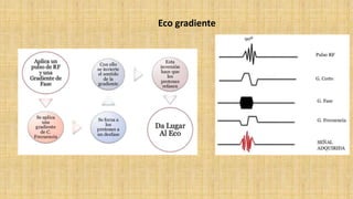 Sesion 4 RESONANCIA MAGNETICA NUCLEAR.pptx